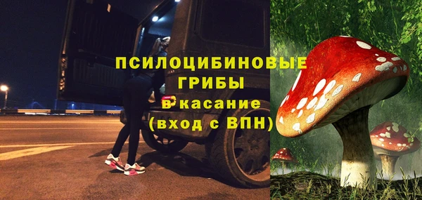 твердый Армянск