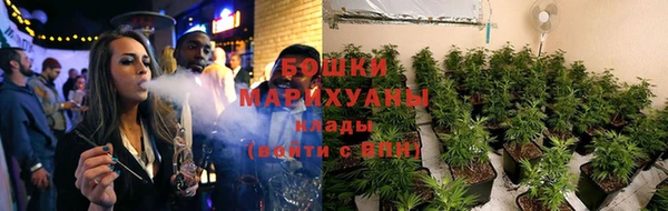 стафф Аркадак