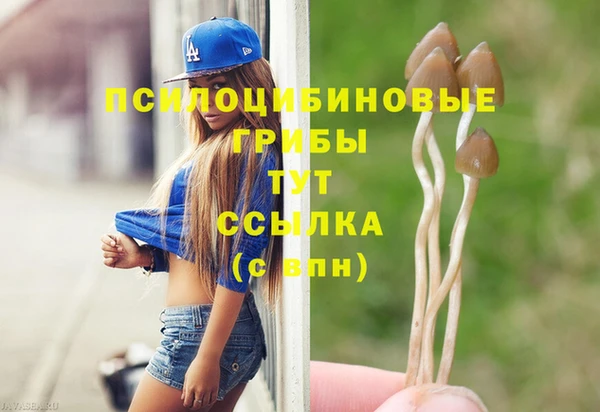 стафф Аркадак